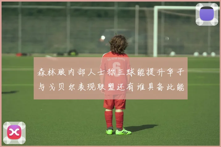 森林狼内部人士称三球能提升华子与戈贝尔表现联盟还有谁具备此能力