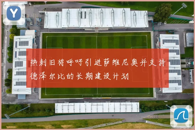 热刺旧将呼吁引进萨维尼奥并支持德泽尔比的长期建设计划